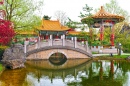 Jardim Chinês