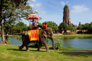 Elefante em Ayutthaya, Tailândia