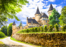 Castelo Puymartin, França