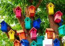 Casas de Pássaros Coloridas