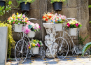 Bicicletas de Flores