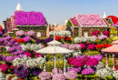 Jardim de Flores dos Milagres em Dubai