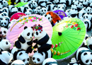 Turnê dos Pandas ao Redor do Mundo, Chiangmai, Tailândia