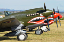 Avião Curtiss P-40 Kittyhawk na Nova Zelândia