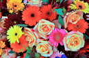 Um arranjo de flores colorido